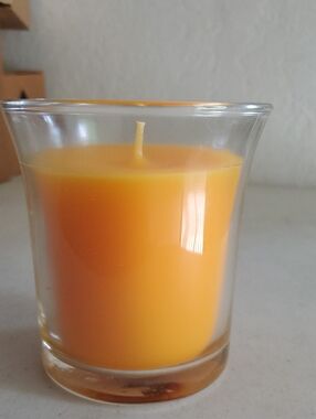 Pineapple Paradise scent Candle New Celebrating Home 13 oz Clean burn retired